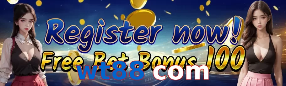 wt88 com