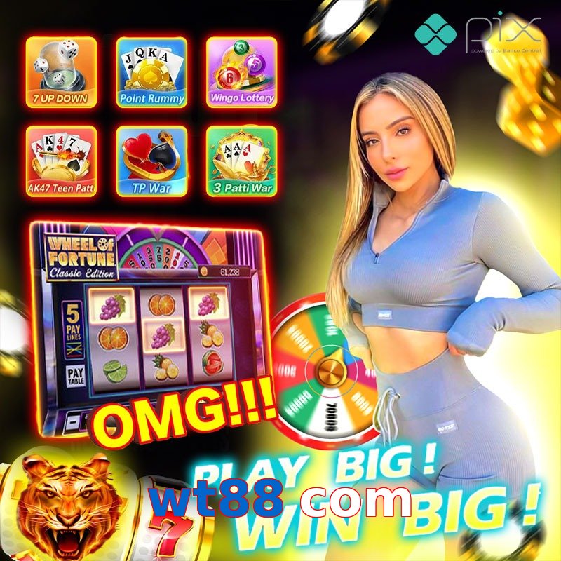 wt88 com